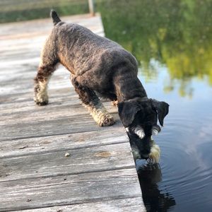 Meet your Posher, Elena